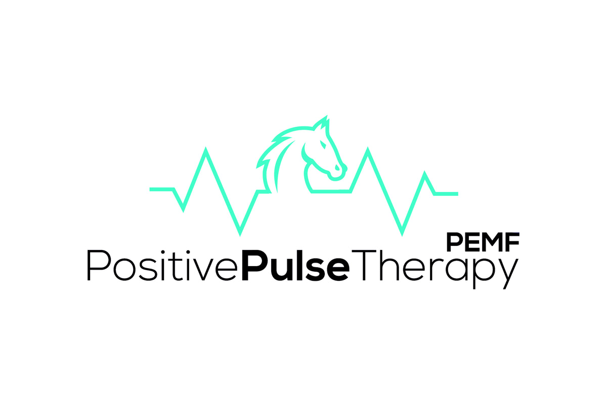 Positive Pulse Therapy PEMF Grand Impression Design Co.