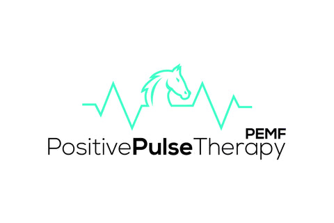 Positive Pulse Therapy PEMF