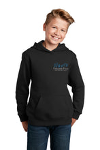 Load image into Gallery viewer, Oakendale Farm LLC- Sport Tek- Pullover Hooded Sweatshirt
