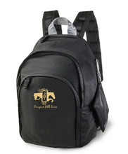 Load image into Gallery viewer, PHF - Veltri Sport- Rider Backpack
