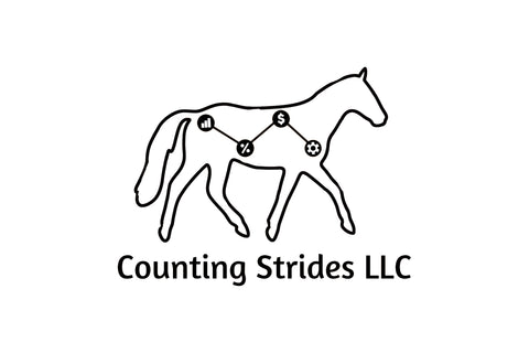 Counting Strides Solutions,LLC