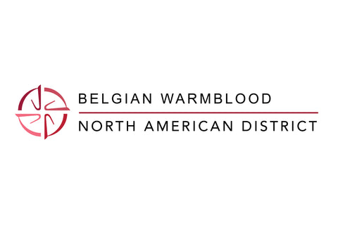 Belgian Warmblood- North America 