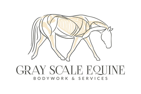 Gray Scale Equine LLC