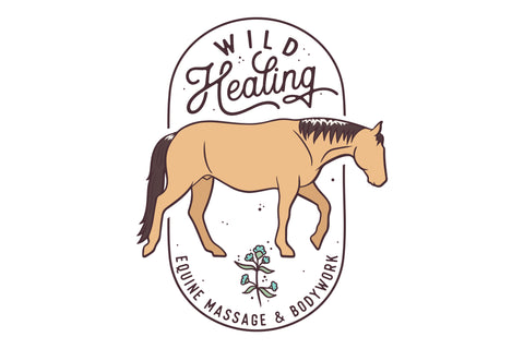 Wild Healing Equine