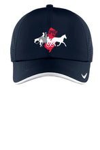 Load image into Gallery viewer, SPHO NJ - Nike- Baseball Cap
