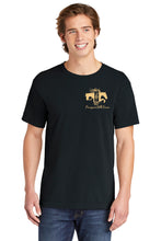 Load image into Gallery viewer, PHF - Comfort Colors- T Shirt
