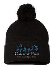 Load image into Gallery viewer, Oakendale Farm LLC - Winter Pom Beanie
