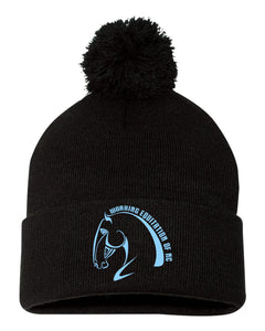 Working Eq of NC- Winter Pom Beanie