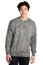 Load image into Gallery viewer, Ghost- Comfort Colors- Smoke Marble Crewneck Sweatshirt
