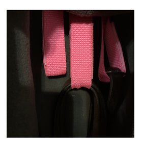 The British Touch LLC- SaddleJammies- Bridle Bag