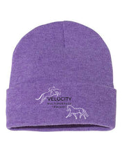 Load image into Gallery viewer, Velocity- Winter Hat
