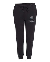 Load image into Gallery viewer, NOVA Fitness Center- Jogger Sweatpant
