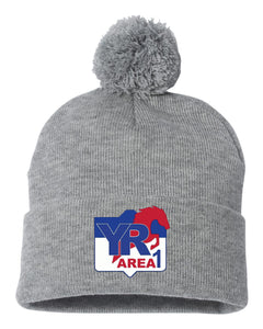 Area 1 YR- Winter Hat with Pom